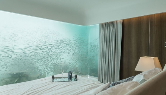 Phòng ngủ ấn tượng dưới biển