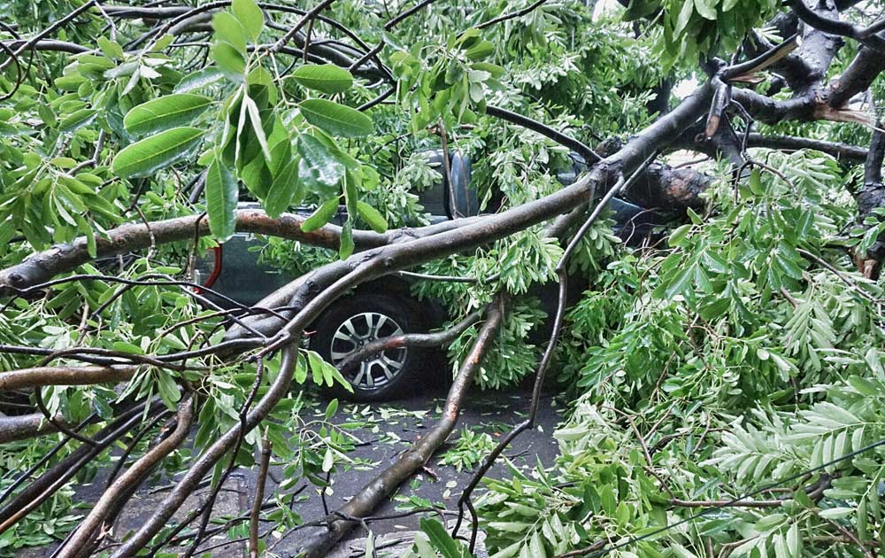 Hà Nội: Một người chết, 5 bị thương do bão Mirinae