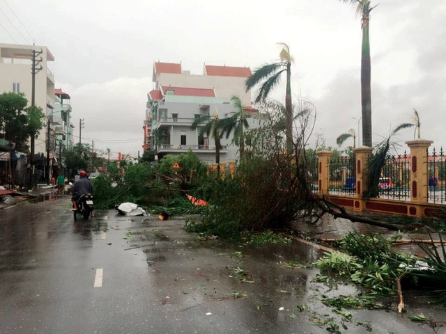 Thị trấn Ngô Đồng, huyện Giao Thủy ngổn ngang sau bão (Ảnh: Đức Văn)
