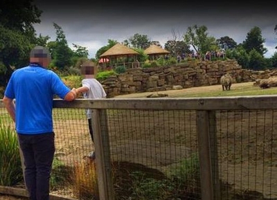 Du khách liều lĩnh đưa trẻ nhỏ vào chuồng tê giác để chụp ảnh!