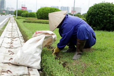 &quot;Ngoài cắt cỏ, cần xem Hà Nội còn lãng phí gì nữa không?&quot;