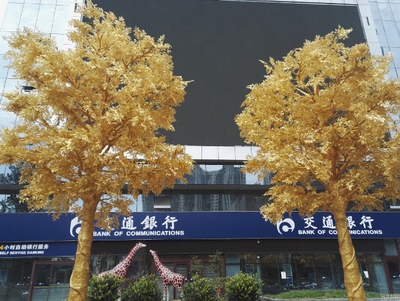 Hàng cây dát vàng gây tranh cãi ở Trung Quốc