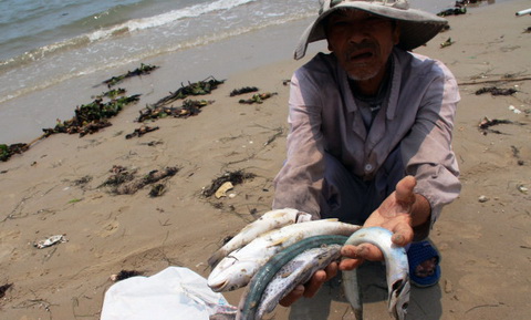 Sự cố Formosa: Ngư dân được đền bù thiệt hại tối đa là 6 tháng