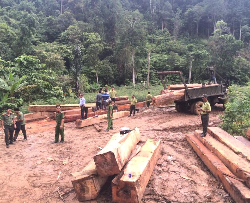 Bắt 4 đối tượng vận chuyển gỗ lậu số lượng lớn