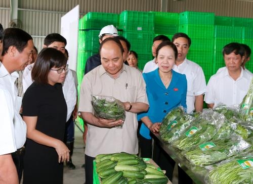 Thủ tướng thăm Dự án đầu tư Nông nghiệp ứng dụng công nghệ cao VinEco- Hải Phòng