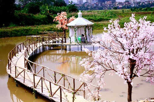 Một cây cầu nên thơ bên hồ với những cây anh đào gợi nhớ vẻ đẹp của đất nước Nhật Bản.