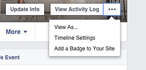 Nếu thường xuyên ẩn các status, hình ảnh với từng đối tượng cụ thể, bạn có thể chọn View As... trong View Activity Log để thử lướt trang cá nhân của mình dưới danh nghĩa đối tượng kia.