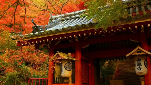 Những nơi ngắm lá vàng, lá đỏ đặc trưng cho mùa thu ở Nhật Bản