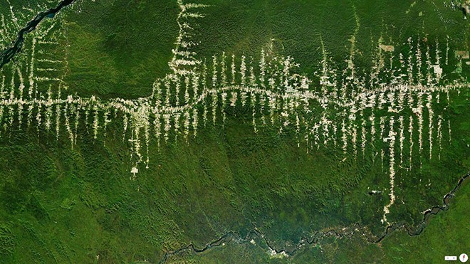 Rừng rậm Amazon đang bị tàn phá tại Para, Brazil.  