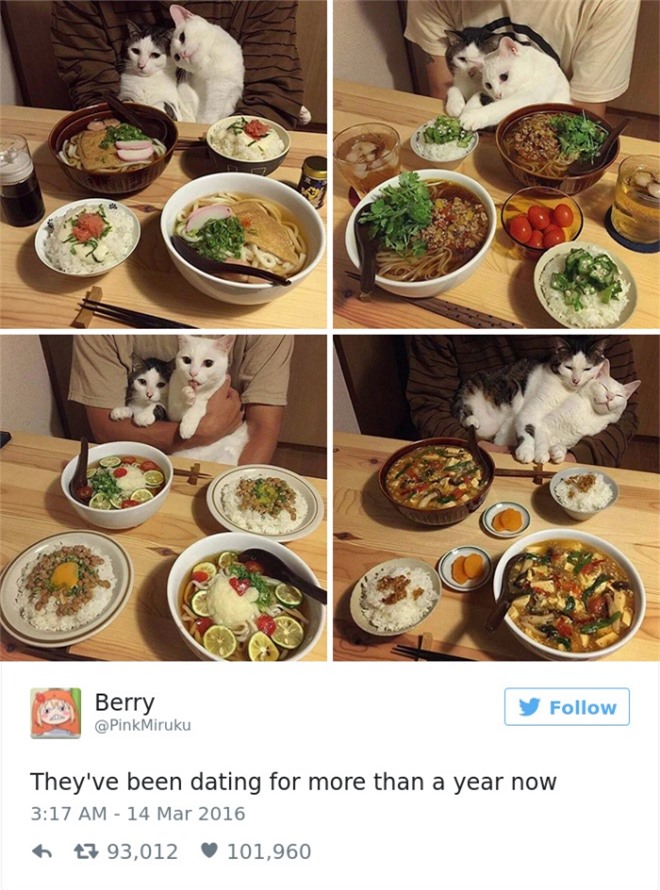 Những món ăn bắt mắt cùng sự quấn quít với những hành động dễ thương của hai con mèo đã khiến cả trăm ngàn người phải rung động.