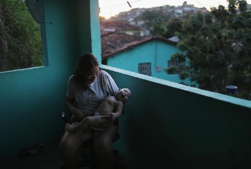 Cô Mylene Helena Ferreira tại Brazil ôm người con trai 5 tháng tuổi bị teo não do nhiễm virus Zika ngày 25/1. Quốc gia Nam Mỹ này là một trong những điểm nóng mà dịch Zika hoành hành với hơn hàng nghìn ca nhiễm được phát hiện chỉ trong vài tháng.