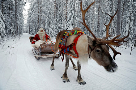Ông già Noel cưỡi xe trượt tuyết tại Rovaniemi, Phần Lan, ngày 15/12 