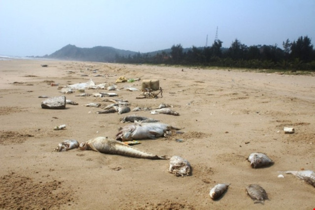 Vụ Formosa gây ô nhiễm: Khiển trách 6 cán bộ