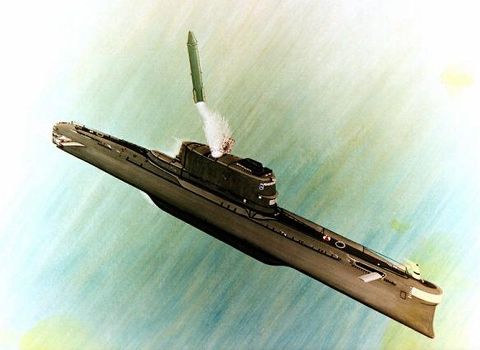 Tàu ngầm của Triều Tiên dài khoảng 67 mét và có lượng giãn nước 2.000 tấn. Trong khi đó, tàu ngầm lớp Ohio của Hải quân Mỹ có chiều dài 170 mét và có lượng giãn nước là 18.000 tấn. Mỹ tin rằng, Triều Tiên trang bị cho các tàu ngầm của họ tên lửa đạn đạo Pukkuksong-1 (Polaris 1). Tên lửa này đang được phát triển một cách cấp tập với 11 lần phóng thử chỉ trong giai đoạn từ năm 2014 đến 2016. Lịch trình dày đặc này cho thấy Triều Tiên tin rằng việc họ có được một chương trình hạt nhân thành công quan trọng như thế nào.