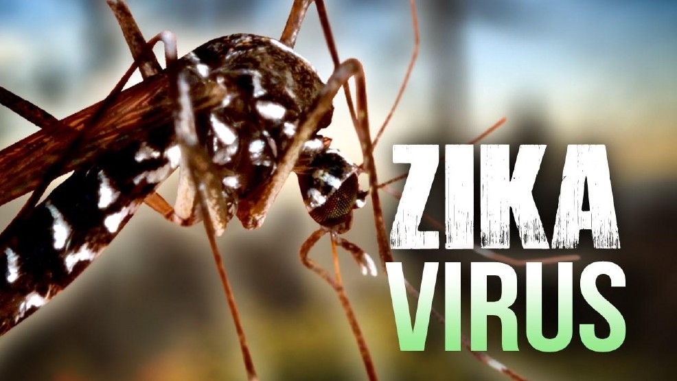 TPHCM: Thêm 1 thai phụ nhiễm Zika