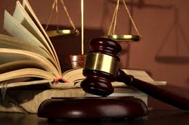 Bài 4: Cá nhân, tổ chức sai phạm, vi phạm đều bị xử lý theo quy định của pháp luật
