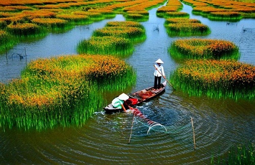 Việt Nam. Ảnh minh họa từ internet.