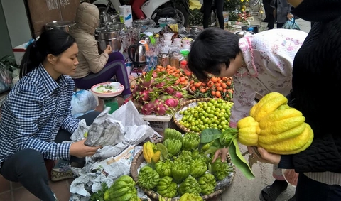 Phật thủ là loại quả được người Hà Nội ưa chuộng chọn đặt lên mâm quả ngày lễ