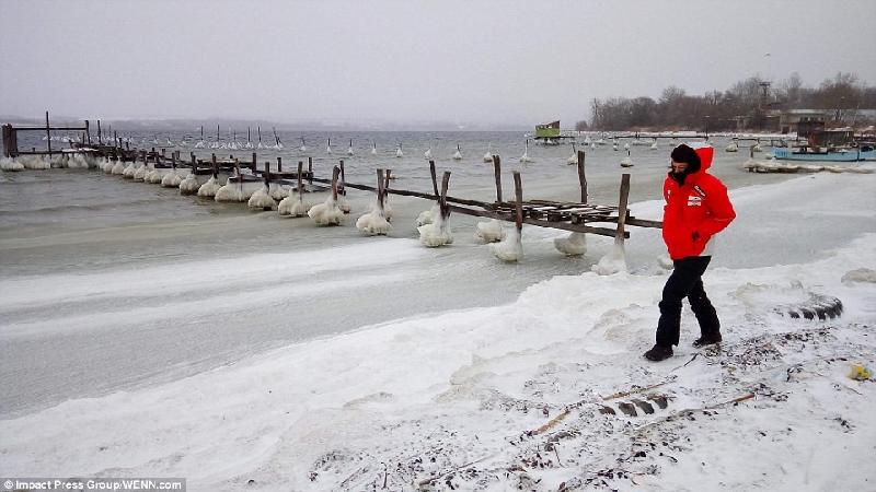 Chân cầu đóng băng tại thị trấn Varna gần Biển Đen, nằm ở phía đông thủ đô Sofia của Bulgaria. Ảnh: WENN.
