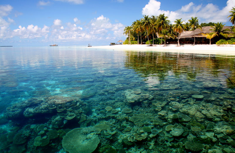 1. Maldives. Quốc đảo gồm nhóm các đảo san hô tại Ấn Độ Dương. 26 đảo san hô của Maldives bao vòng quanh một lãnh thổ gồm 1.192 đảo nhỏ.