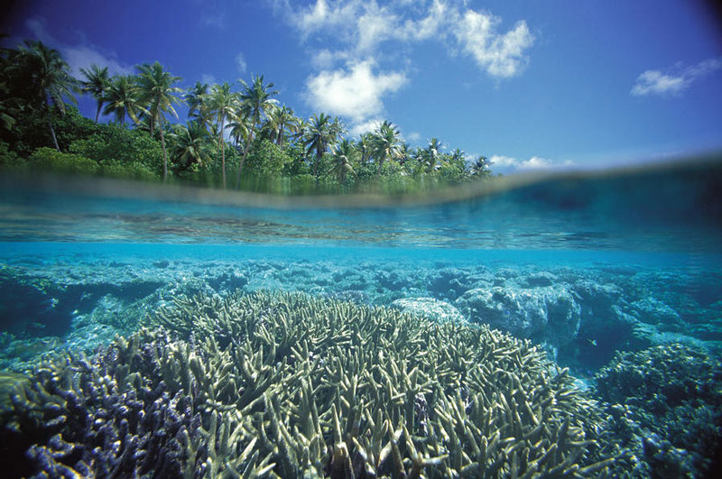 5. Caroline. Là một trong những đảo san hô hoang sơ nhất thế giới thuộc địa phận của Cộng hòa Kiribati. Đảo Caroline là một trong những hòn đảo xa xôi nhất trên trái đất.