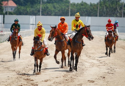 Các nài ngựa tập luyện trên đường đua với thời gian khoảng 10 phút vào buổi sáng và chiều trong hai ngày cuối tuần.
