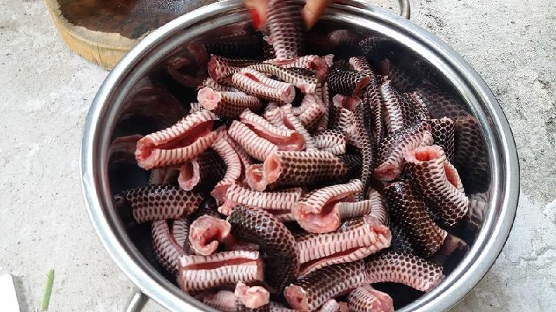 Thịt rắn: Các món ăn từ rắn được đánh giá là đại bổ. Tuy nhiên, việc thưởng thức những khoanh thịt rằn ri hay