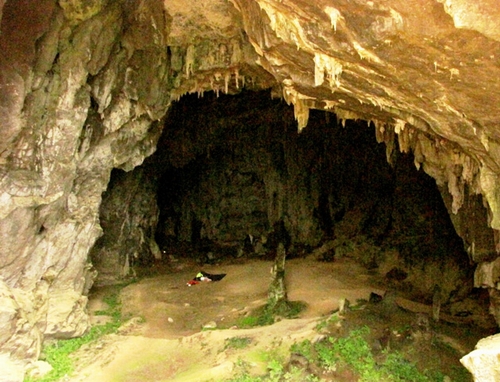 Hang Chuột (Tân Hóa - Minh Hóa- Quảng Bình)Hang Chuột thuộc xã Tân Hóa, huyện Minh Hóa là địa điểm được lựa chọn làm hang của 