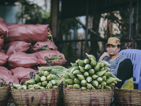 Bên trong khu chợ bắp lớn nhất Sài Gòn