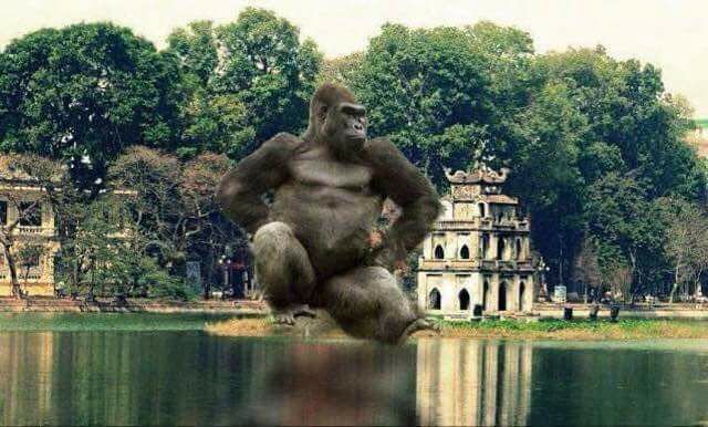 Hài hước ảnh &quot;Kong&quot; xuất hiện khắp mọi miền Việt Nam