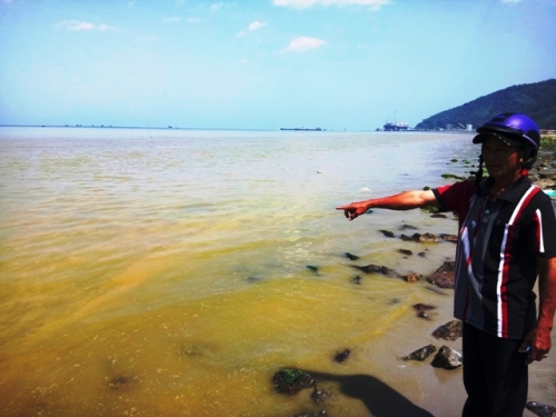 Vệt nước biển màu vàng xuất hiện ven vùng biển tỉnh Thừa Thiên - Huế.