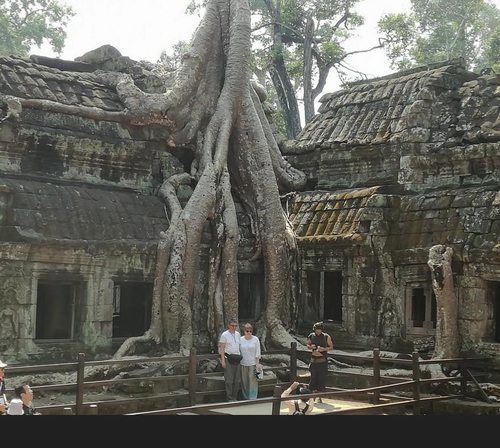 Nơi gợi ý tiếp theo cho du khách khi đến Siem Reap của Tripadvisor là rừng Angkor Archaeological Park, một Di sản thế giới được bảo vệ vành đai rộng qua 154 dặm vuông ở tỉnh phía bắc của Campuchia, Siem Reap. Khu vực này bao trùm các thủ đô khác nhau của Đế quốc Khmer có niên đại từ thế kỷ thứ 9 các-15, bao gồm đền Bayon ở Angkor Thom.  Đây là một nhận xét của du khách khi đến đây: 