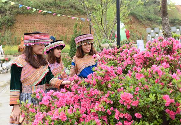 Ngàn hoa tụ hội tại Lễ hội hoa đỗ quyên Fansipan Legend