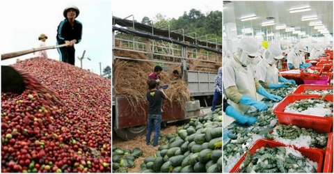 Nghịch lý xuất khẩu Việt Nam: Khối lượng lớn nhưng giá trị rất thấp