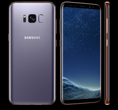 Được biết, kim loại vàng hoặc kim loại Platin được mạ trên toàn bộ khung của bộ đôi Galaxy S8, trong khi mặt trước của thiết bị là màn hình đen tràn cạnh và mặt sau vẫn là các tùy chọn màu sắc nguyên bản.