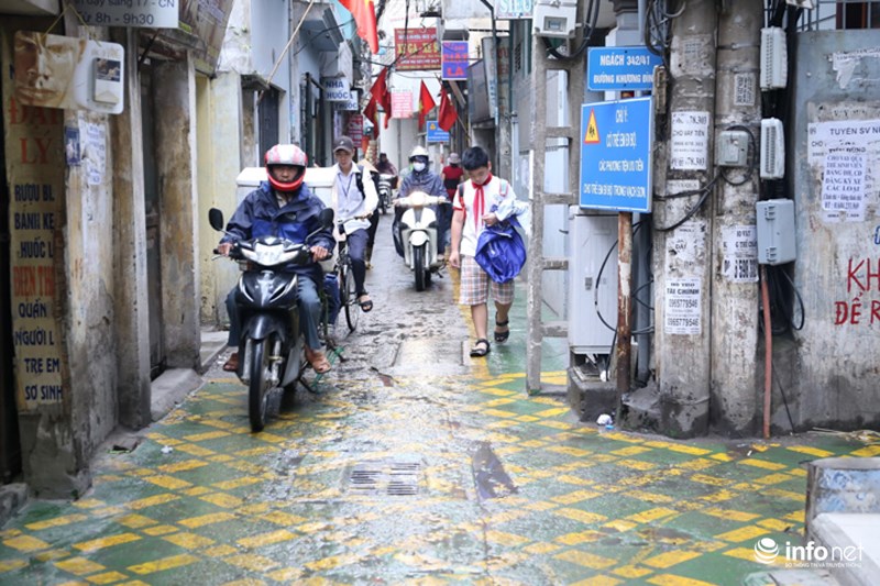 Làn đường được sơn màu xanh riêng biệt, kẻ vạch để nhận biết, chỉ dành riêng cho người đi bộ. Nhiều người gọi vui đây là đoạn đường “BRT cho người đi bộ”.