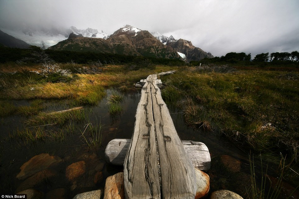 Hình ảnh tuyệt đẹp về con đường nhỏ bằng gỗ bắc qua một đầm lầy được Nick Board chụp ở Argentina.