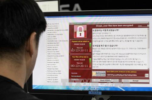 Nhân viên theo dõi sự phát tán của mã độc WannaCry tại Cơ quan an ninh mạng Hàn Quốc ở Seoul ngày 15/5. Ảnh: AFP/TTXVN
