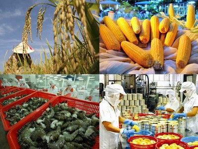 Vấn đề không tuân thủ quy định về an toàn thực phẩm là hàng rào lớn nhất cho các doanh nghiệp Việt Nam. Ảnh minh họa