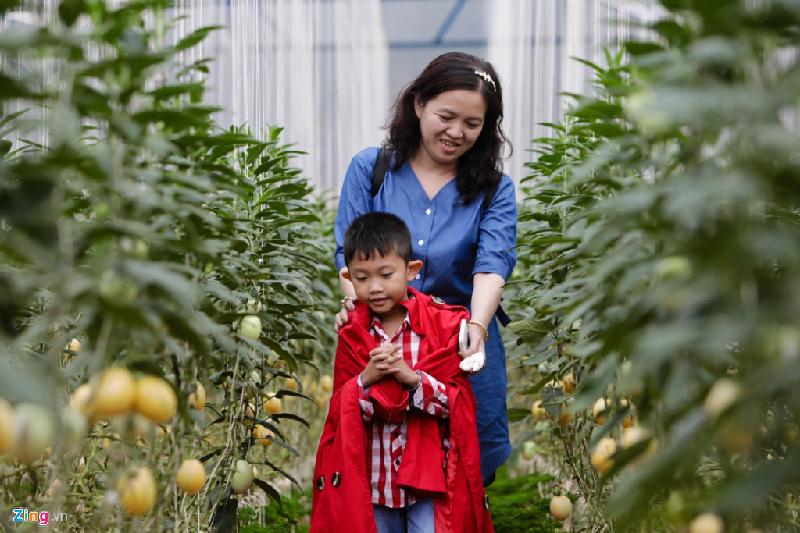 Bé Khôi Nguyên (An Giang) vui chơi cùng mẹ giữa vườn dưa.
