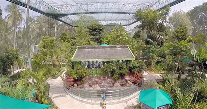 Toàn cảnh khu vườn chim đoạt kỷ lục Guinness của ông Sri Swamiji ở Mysuru