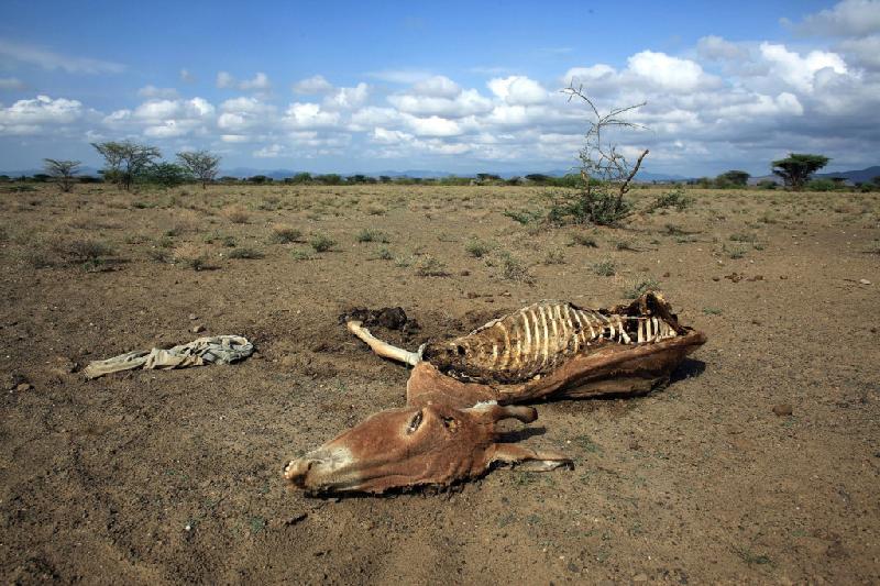 Lodwar, Kenya: Xác con lừa - nạn nhân của hạn hán - là dấu hiệu cho thấy cuộc khủng hoảng thức ăn và nước uống của tộc Kurtana. Hơn 23 triệu người ở Đông Phi đang phải đối mặt với tình trạng khan hiếm nước và thực phẩm trầm trọng do biến đổi khí hậu.