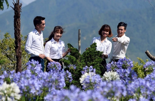 Còn ngay tại khu vực tháp đồng hồ, vườn thanh anh (Arapang) đồng loạt bừng nở những bông hoa màu xanh tím, khiến cái nắng mùa hè dường như dịu lại. Vườn hoa ấy không khi nào ngớt khách thăm quan chụp hình, đặt biệt là những đôi trẻ.