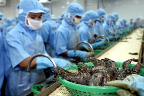 Úc nới lỏng lệnh tạm ngừng nhập khẩu tôm và thịt tôm tẩm ướp