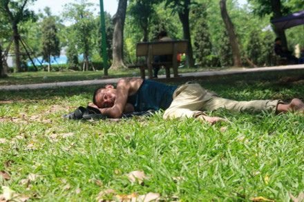 Giữa trưa nắng nhiều người ngủ trực tiếp lên bãi cỏ ở Công viên Lê Nin.