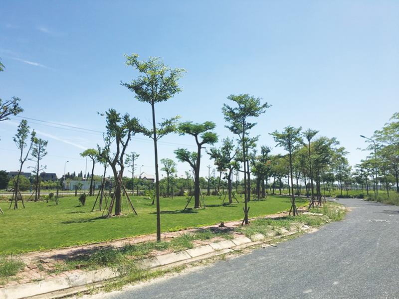 Hà Nội: Điều chỉnh quy hoạch khu đô thị sinh thái tại Mê Linh