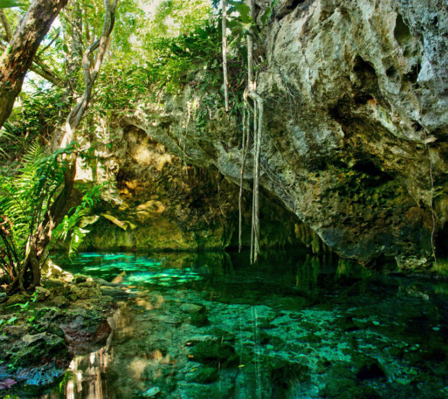 Hang ngầm Cenotes, Mexico: Hệ thống hang động ngầm nằm ẩn sâu trong rừng trên bán đảo Yucatán.