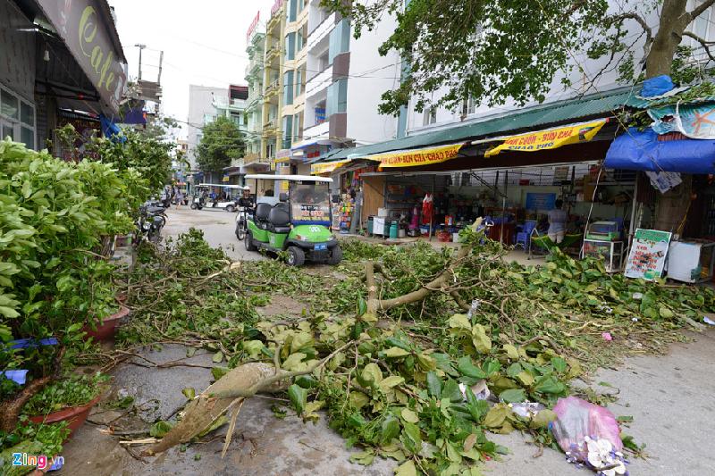 Thậm chí cây đổ choán hết lối đi trên đường Nguyễn Du.