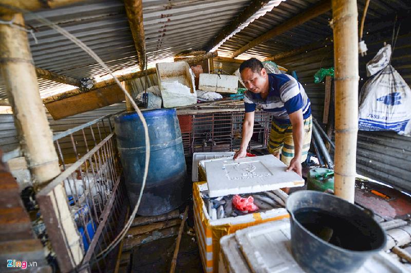 Anh Lương Văn Hưng (TP Hòa Bình) nuôi 10 lồng cá. Đến ngày 22/7, cả khu nuôi 1,5 tấn cá bị gió bão “càn quét”: “Đếm trên đầu ngón tay được vài con nữa thôi, không bán nhanh thì cũng chết hết”.