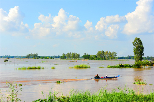 Hiện nay nước đang nổi từ 1-2m trên các các cánh đồng đầu nguồn huyện An Phú – An Giang